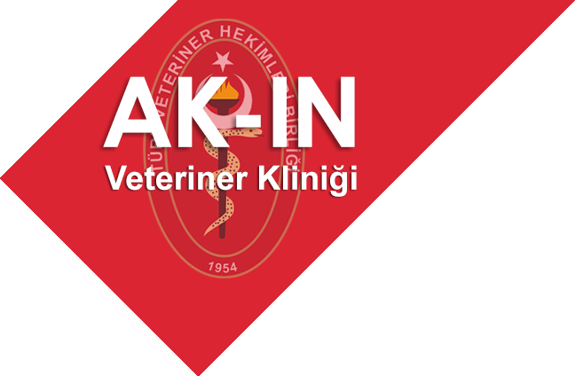 Ak-ın Veteriner Kliniği